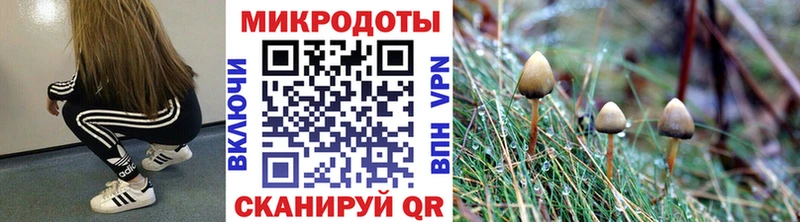Псилоцибиновые грибы Psilocybine cubensis  как найти наркотики  МЕГА маркетплейс  Пятигорск 