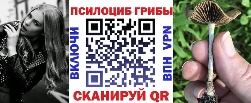 Псилоцибиновые грибы MAGIC MUSHROOMS Пятигорск